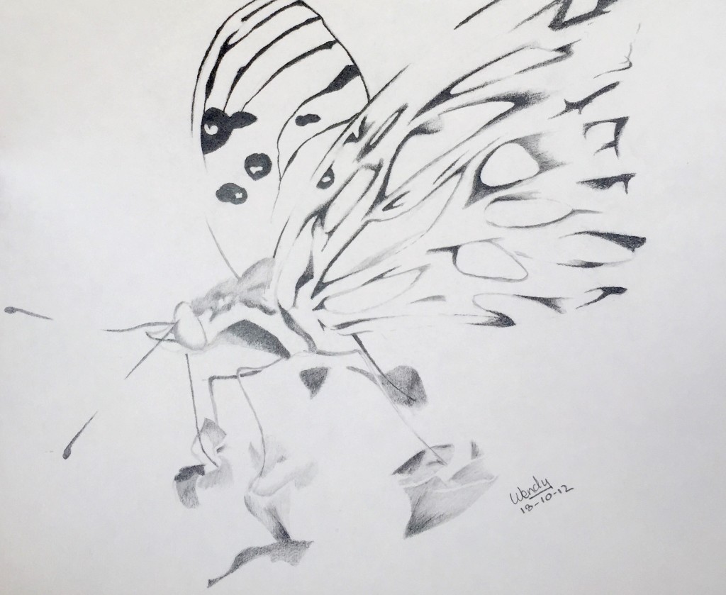 Butterfly visual completion