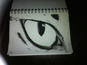 Kattenoog getekend met houtskool.  Formaat A5